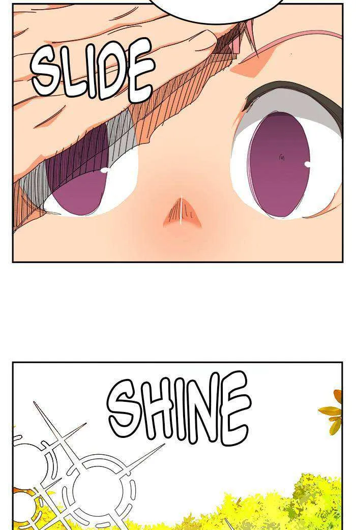 Chapter 527, page 40